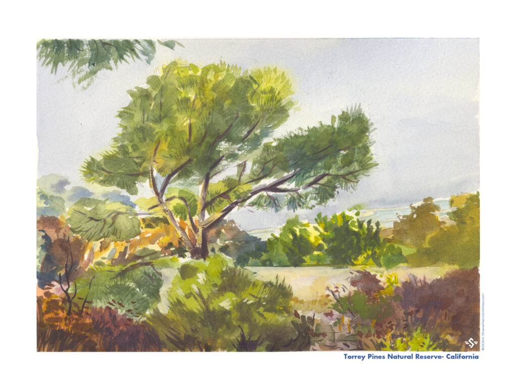 "shane white" "shanepatrickwhite" "fine art" "watercolor" "landscape" "urban sketching" "southern california" "socal" "travel art"
